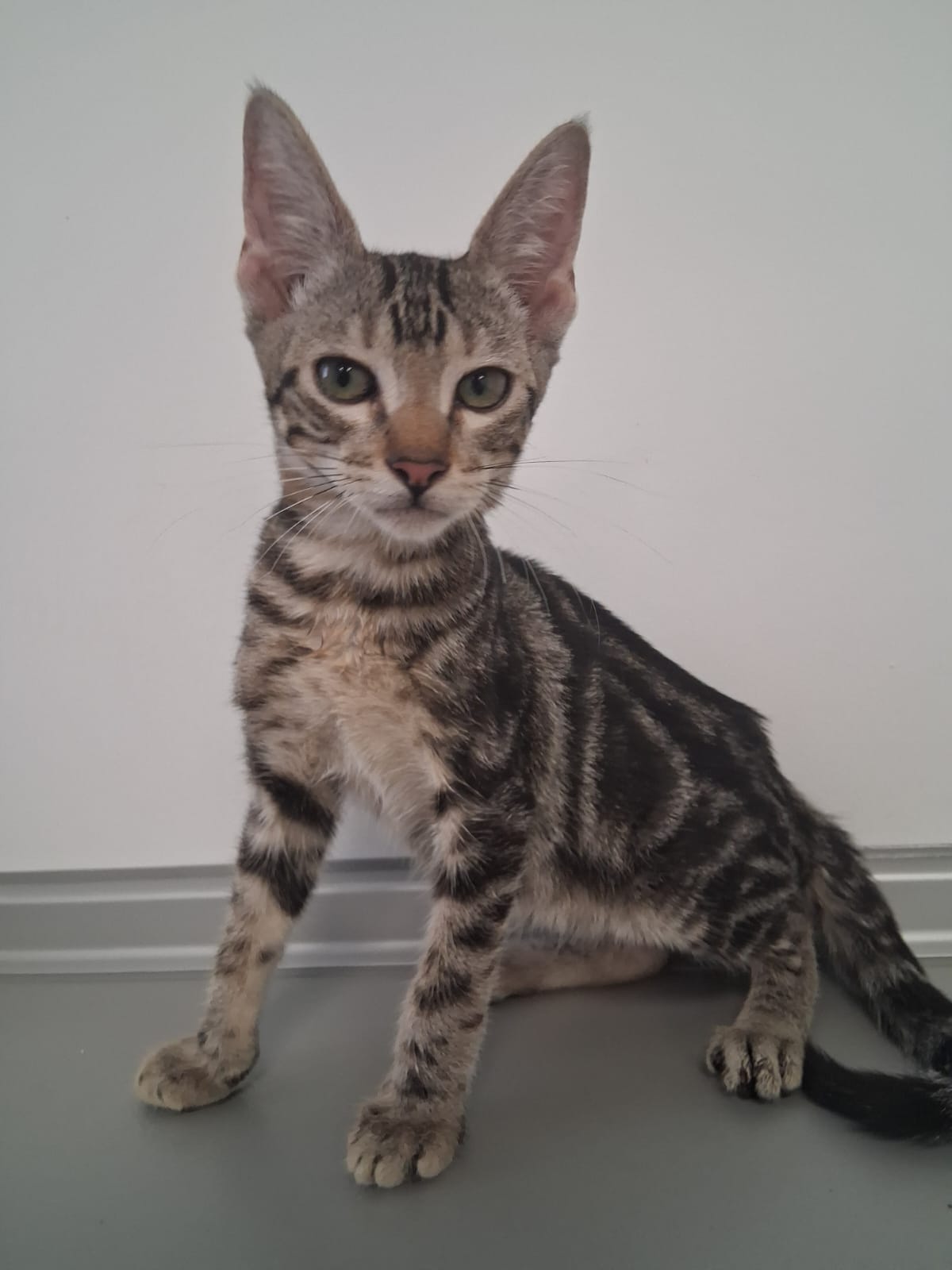 Foto de Anya