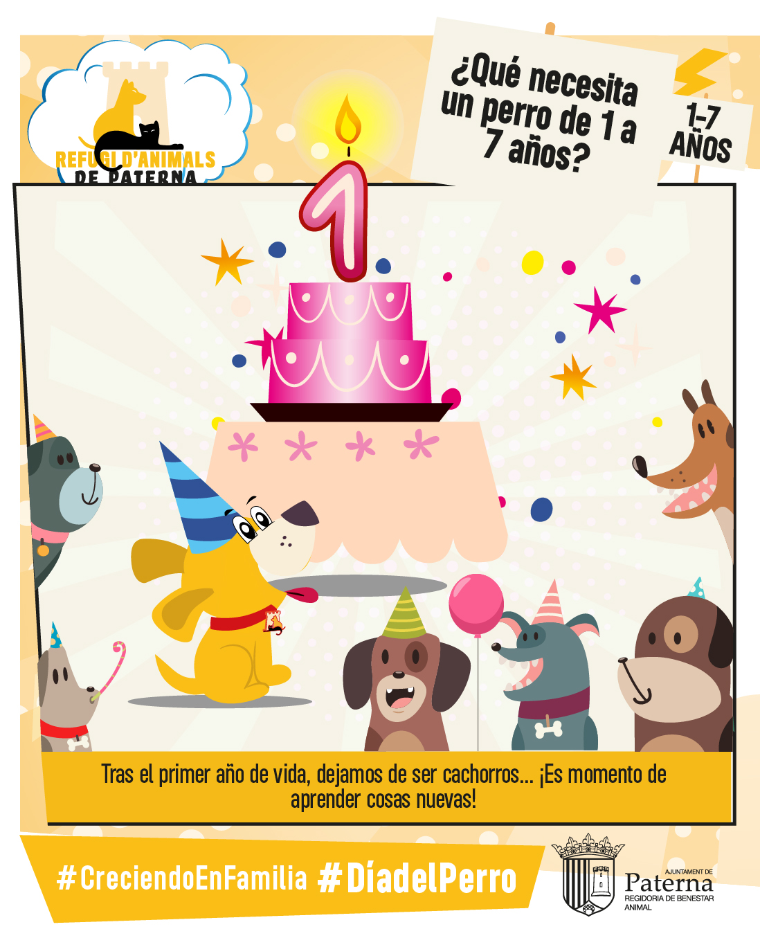 ¿Qué necesita un perro de un año? - Día del Perro 2024