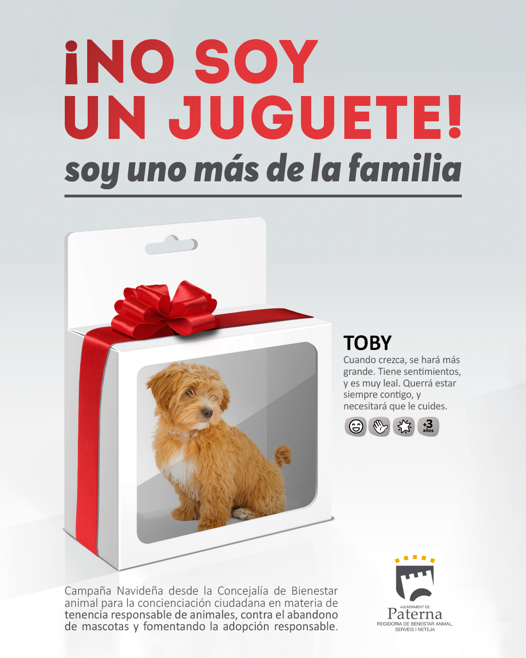 No soy un juguete, soy uno más de la familia, la campaña navideña por la tenencia responsable de animales en Paterna