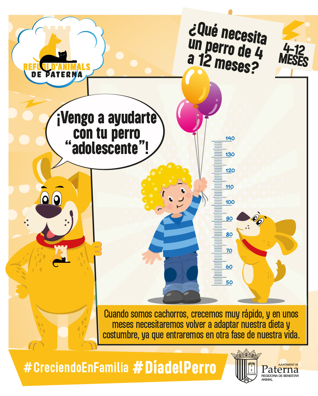 Cuidados de un cachorro de 4 a 12 meses  - Día del Perro 2024